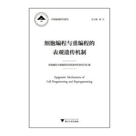 近空间飞行器的关键基础科学问题 中国基础研究报告
