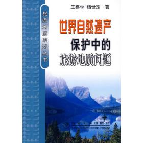 旅游地质系列丛书：旅游地质景观空间信息与可视化