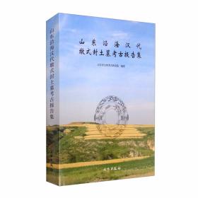 京沪高速铁路山东段考古报告集