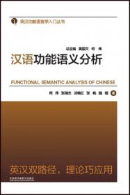 汉语功能句法分析