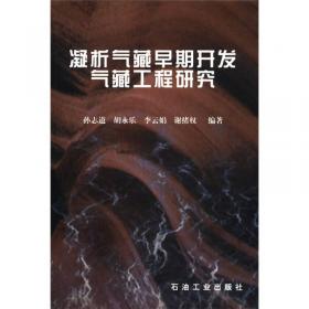 凝析、低渗气藏流体相态与渗流机理