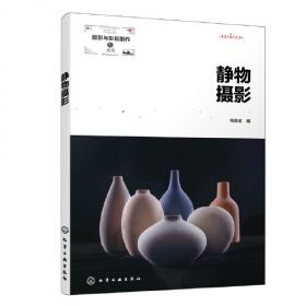静物：陈丹青画册写生1998-2014