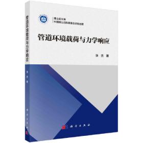 管道检测与监测诊断技术管道完整性管理技术丛书