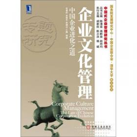 品牌和营销：中国式企业管理研究丛书