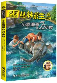 荒野求生少年生存小说系列（拓展版）17：毒蛇沼泽的双塔入侵
