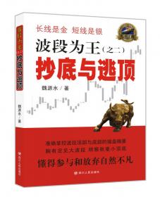 波段交易的高级技术：股票和期权交易者的资金管理、规则、策略和程序指南