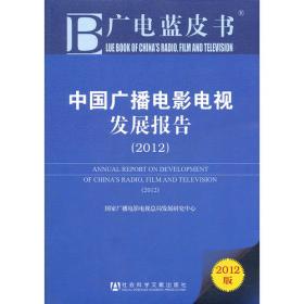 中国视听新媒体发展报告：Annual Report on Development of China's Audio-visual New Media(2011)