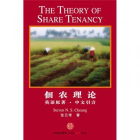 货币战略论：从价格理论看中国经验