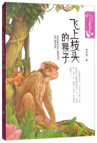 老鼠魔法师/韩宏蓓动物童话小说