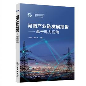 河南蓝皮书：河南能源发展报告(2023)能源安全保障与绿色低碳发展