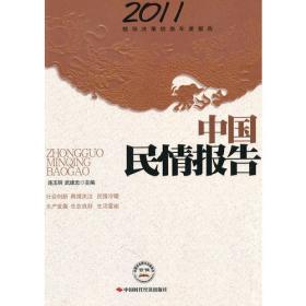 中国国力报告（2008-2009年）