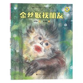 金丝猿的故事 中国现代主义文学重镇李渝长篇力作