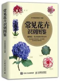 常见花草树木识别图鉴（大图识别版）