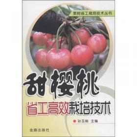 甜樱桃新品种优质高效栽培 