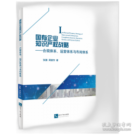 国有企业改革创新之路:唐村煤矿衰老再发展模式研究