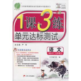 初中语文课外现代文阅读训练120篇（银版）六三制九年级（2014）