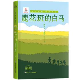 纯净草原少年小说系列：乌兰牧骑的孩子