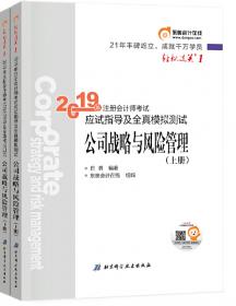 注会会计职称2019教材辅导东奥2019年轻松过关一《2019年注册会计师考试应试指导及全真模拟测试》审计（上下册）