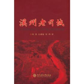“赣鄱情 家国梦”长篇小说丛书：血色鄱阳湖