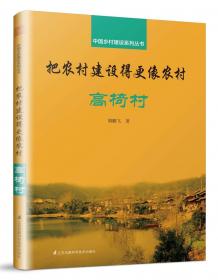 中国乡村建设系列丛书把农村建设得更像农村金山村