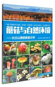 食用蘑菇50种/蘑菇口袋书系列