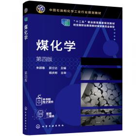 煤化工手册：中煤煤化工技术与工程
