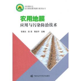 农用化学品生产工艺与技术 
