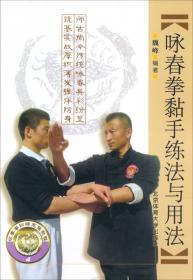 咏春拳训练完整教程：咏春拳木人桩系统训练