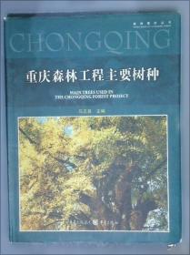 阅读理解理论课