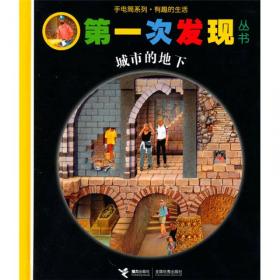 手电筒系列·第一次发现丛书：攻打城堡