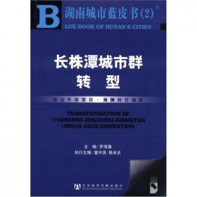 湖南城市蓝皮书（3）：城市公共安全（2010版）