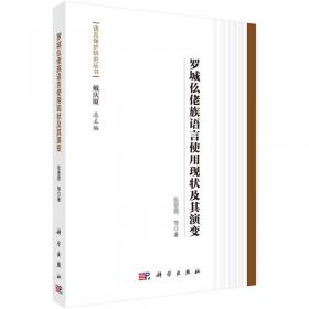 语言保护研究丛书：环江毛南族语言使用现状及其演变