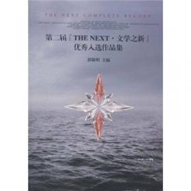 第二届“THE NEXT·文学之新”决赛优秀作品集
