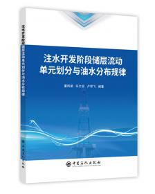 注水井生产故障分析与处理（套装共11册）/采油工安全生产标准化操作丛书