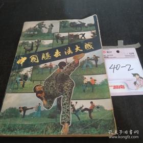 武术散打技法