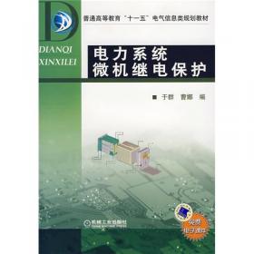 文化蓝皮书：中国公共文化服务发展报告（2012版）