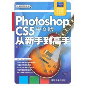 从新手到高手：Photoshop CS6中文版从新手到高手