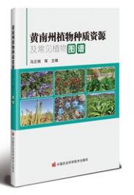 阅读理解理论课