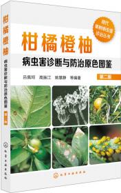 中国粮食作物、经济作物、药用植物病虫原色图鉴
