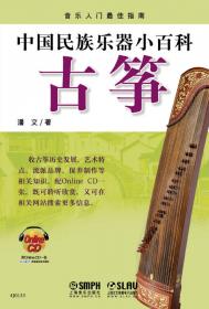 中国民族乐器小百科：琵琶