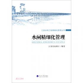 水闸标准化管理(安徽省淮河河道管理局水利工程标准化管理丛书)