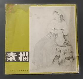 素描头像精选对比临摹