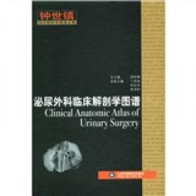 钟世镇临床解剖学图谱全集：显微外科临床解剖学图谱（第2版）