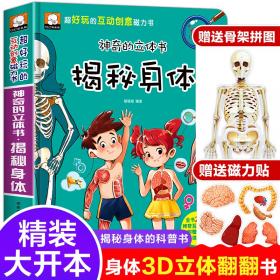 经典童话故事安徒生童话+格林童话+一千零一页+伊索寓言（全4册）彩绘注音版