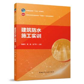 青少年网络心理研究丛书：青少年网络使用与学业成绩