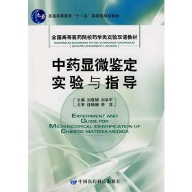 中南大学学术文库·地方治理与公共政策丛书：企业家政府理论的伦理批判