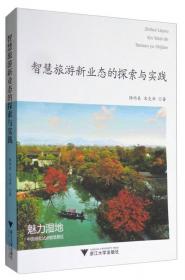 中国旅游业“十一五”高等教育教材：旅游信息化管理