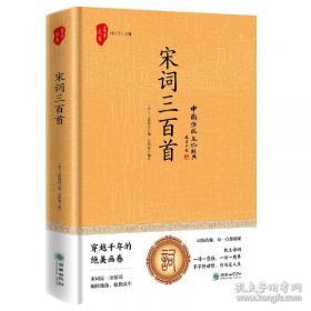 宋词三百首赏译