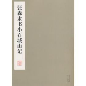 成功教学系列丛书：孪生（8年华彩）