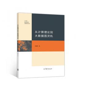 地理信息系统理论与应用丛书：大数据智慧计算原理方法